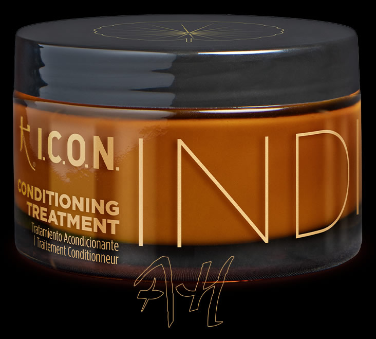 INDIA Conditioning Treatment 170 ml de ICON